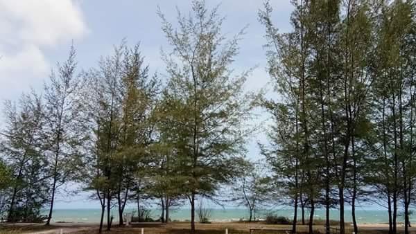 Paka Tamim Seaview Hotel Екстер'єр фото